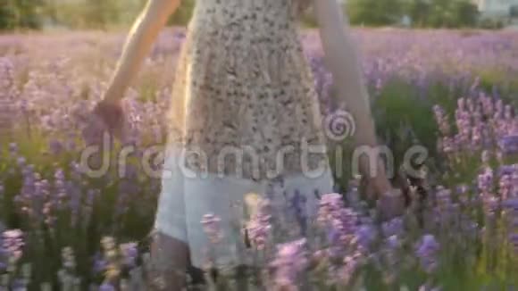 理念美与健康特写身体部位手部小女孩日落时分夏装穿过薰衣草的田野轻轻地视频的预览图