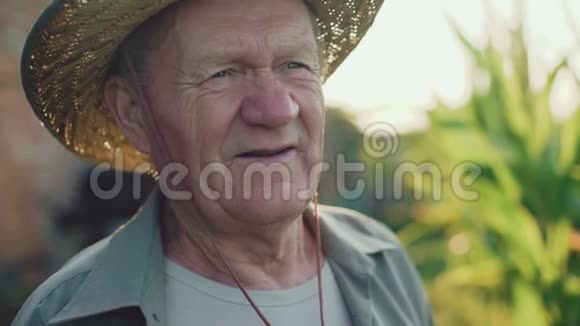 在阳光明媚的4K老农看到田野对着镜头微笑视频的预览图