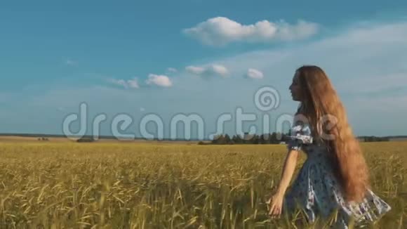 漂亮的女孩跑过黄色的麦田快乐美丽的年轻女子在户外享受大自然自由自由视频的预览图
