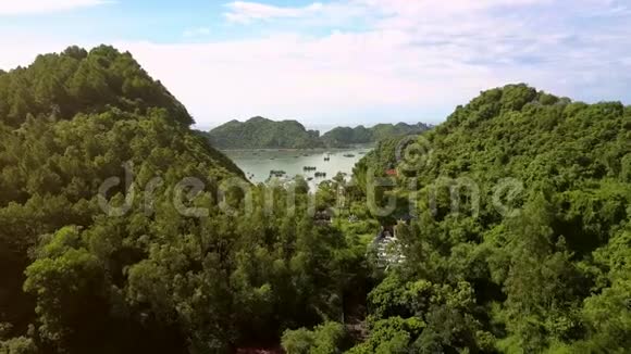 镜头飞越大山展示佛寺视频的预览图