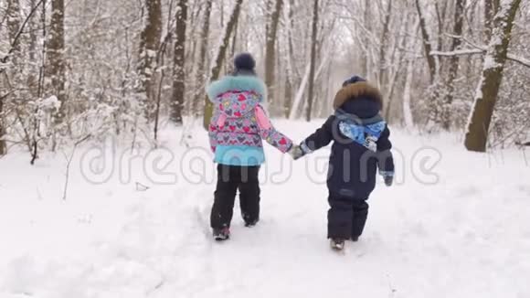 两个小孩子在公园里过冬视频的预览图