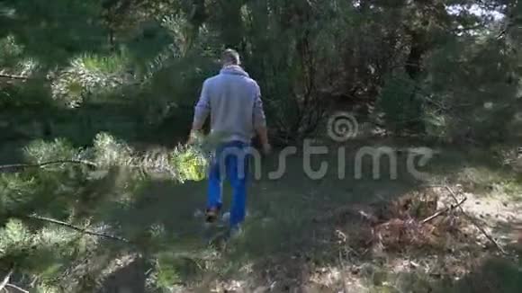 一个拿着刀和篮子的人走过森林在一棵倒下的树发现了一个蘑菇视频的预览图