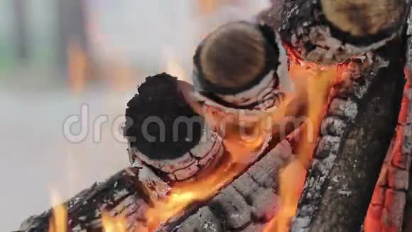 木头燃烧的火视频的预览图