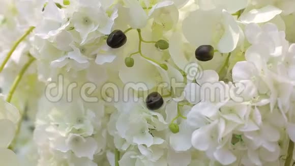 婚礼装饰中白色兰花的特写结婚拱门视频的预览图