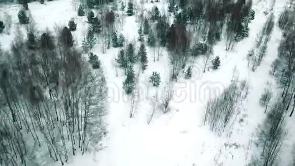 冬天的森林直升机无人机的概述视频的预览图