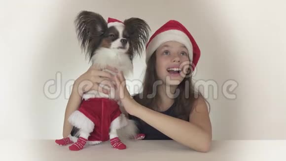 美丽的少女和狗穿着圣诞老人装的玩具斯帕尼尔帕皮隆兴高采烈地凝视着山顶视频的预览图