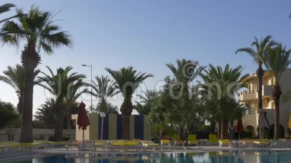 棕榈树和光滑水面游泳池视频的预览图