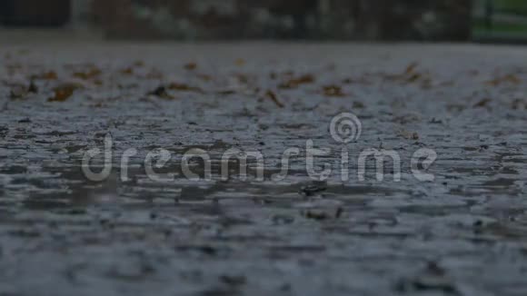 在泥泞路面上下雨视频的预览图