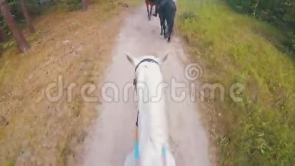 在森林里的小路上骑着白马的骑士视频的预览图