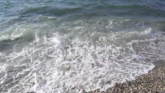 海浪翻过海岸海鸥的影子慢慢地移动视频的预览图