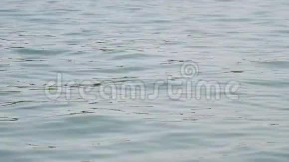合上西湖平静的碧水4K电影慢动作模糊水背景视频的预览图
