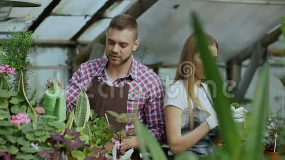 年轻开朗的男人围着围裙给植物浇水和戴着手套的女人聊天在温室的花丛中松开地面视频的预览图
