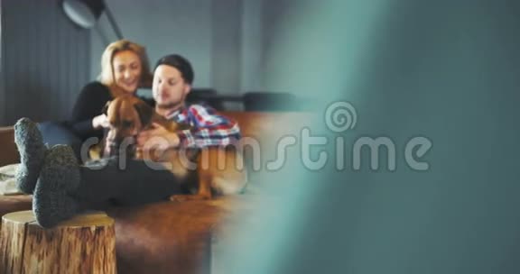 生活方式男人和女人在空闲时间玩狗视频的预览图