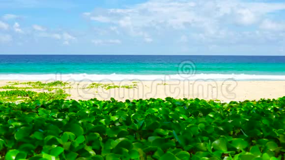 西海岸普吉岛泰国美丽的海滩海在夏季太阳4K超高清视频剪辑视频的预览图