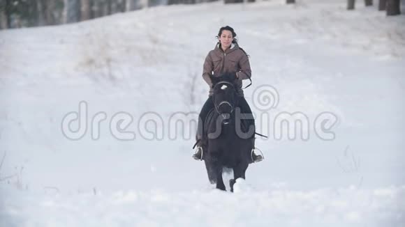 美丽的长发女骑手狂野而快速地骑着黑马穿过雪地狗在附近奔跑慢动作视频的预览图