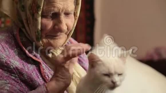 年长的女人在偷猫视频的预览图