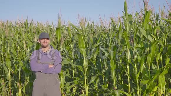 玉米地里的农民画像农夫在玉米地里闭上脸视频的预览图