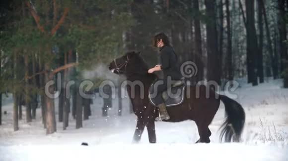 美丽的长发女子骑着一匹黑色的马穿过森林里的雪种马轻舞地站起来视频的预览图