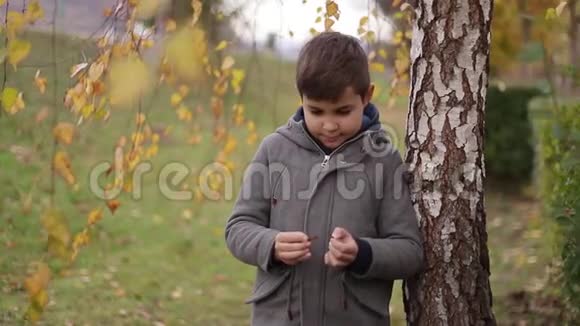 秋天孩子们住在桦树附近快乐的男孩在公园里散步黄树视频的预览图