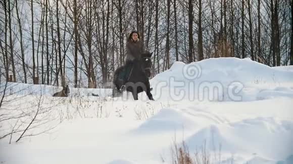 美丽的长发女骑手骑着一匹黑马在雪地里奔跑狗在附近奔跑视频的预览图