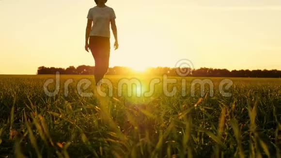 在日落的背景下拍摄在绿色草坪上行走的雌性腿慢动作视频的预览图