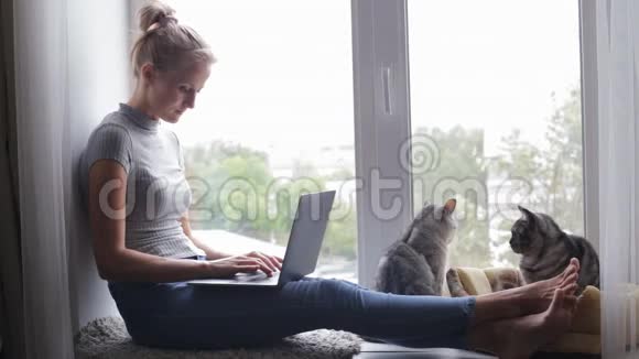 漂亮的女人用手提电脑和猫坐在窗台上视频的预览图