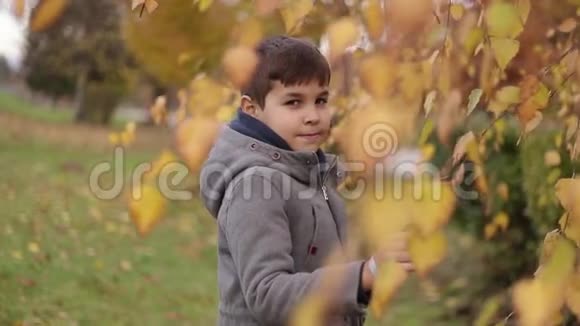秋天孩子们住在桦树附近快乐的男孩在公园里散步黄树视频的预览图