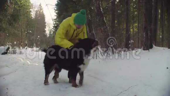 冬天森林里和狗玩耍的女人视频的预览图