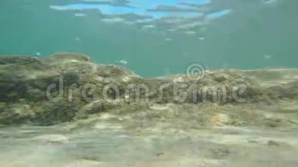 有太阳和鱼的水下岩石形成视频的预览图