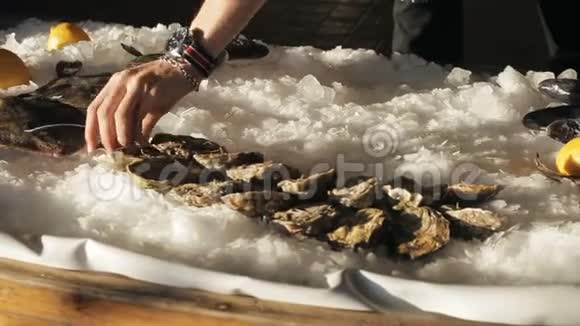 厨师把很多大牡蛎和新鲜鱼放在冰上视频的预览图