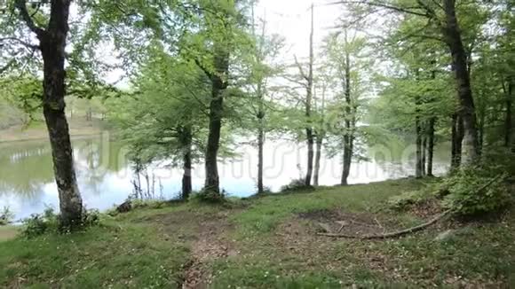 人穿过树林来到湖边视频的预览图