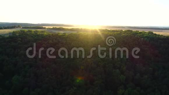 大自然的空中摄影从鸟瞰日落时森林视频的预览图