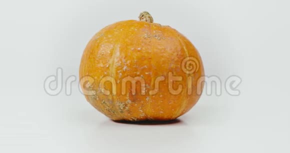 白色背景的橙色大南瓜视频的预览图