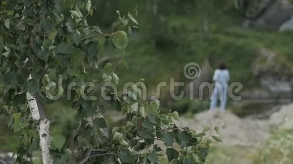 背景树和女人的分支视频的预览图