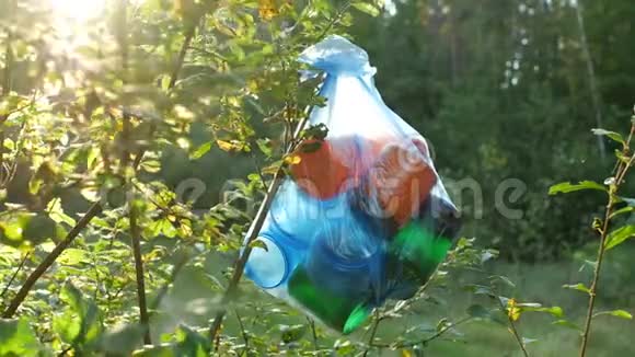 一包塑料垃圾挂在树林里的树枝上特写镜头自然被垃圾污染阳光明媚视频的预览图