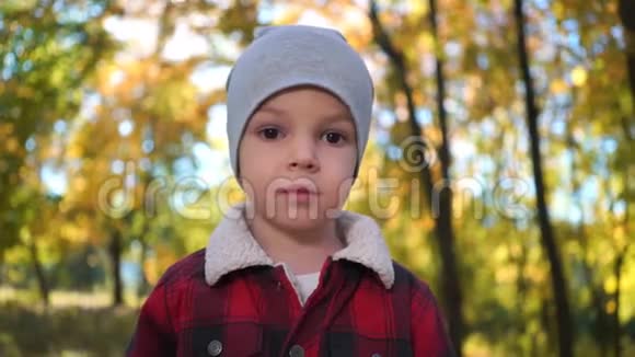 秋天公园一个悲伤或不快乐的男孩的肖像视频的预览图