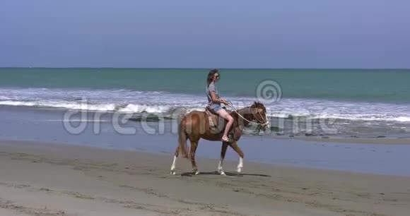 在阳光明媚的日子里女人骑着马在沙滩上视频的预览图