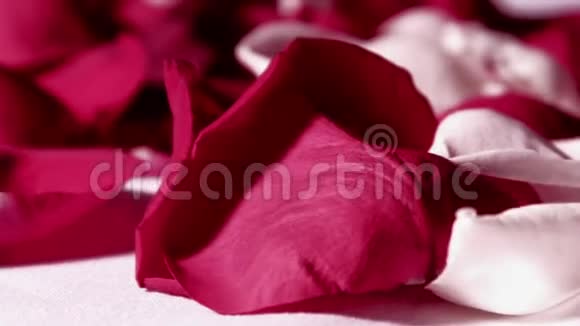 风在花的花瓣上吹玫瑰在白色的背景上躺在桌子上视频的预览图