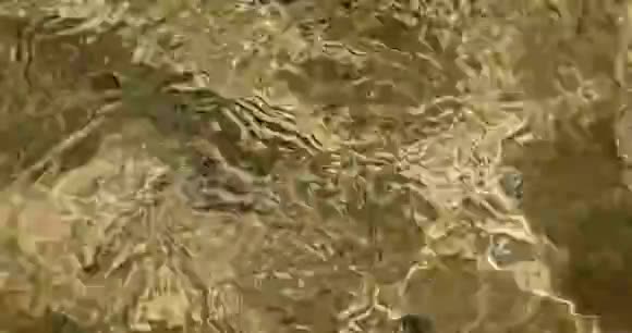 阳光照射下人工池塘水面涟漪视频的预览图