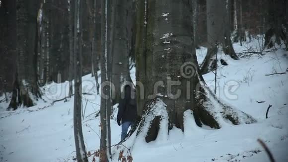 冬天穿过树林的人视频的预览图