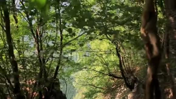从一个陡峭山坡的斜坡上往下看到森林下面的一条小溪视频的预览图