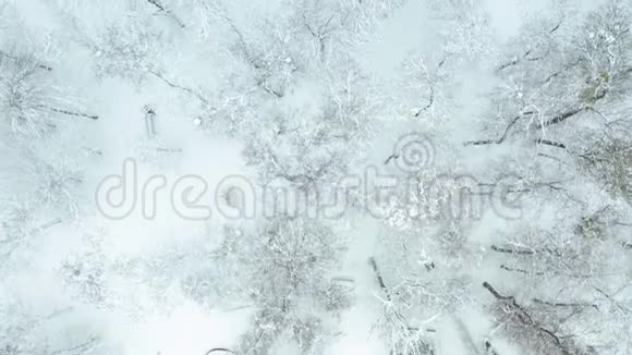 鸟瞰白雪覆盖公园视频的预览图