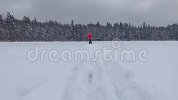 越野滑雪的女人在下雪的日子徒步旅行视频的预览图