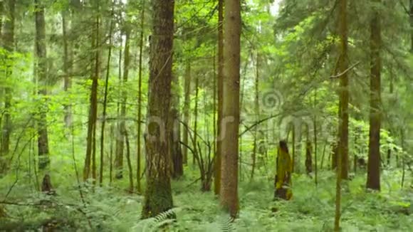 一个有智能手机的森林里的生态学家视频的预览图