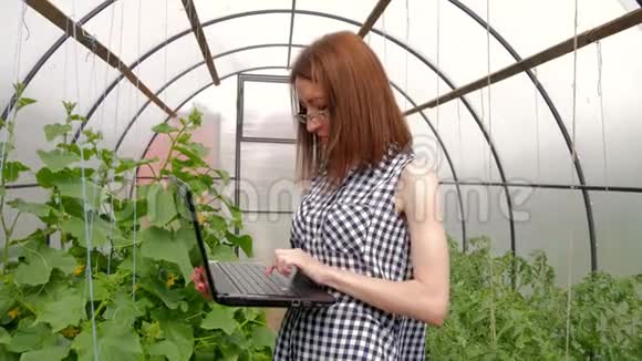 年轻的女园丁在温室里种植植物一个女孩用笔记本电脑检查西红柿和黄瓜的生长情况视频的预览图