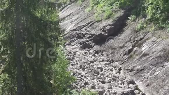 阳光明媚的一天枯干的河水在树林中的石床视频的预览图