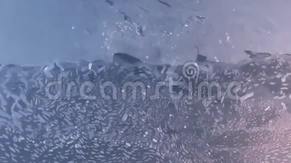 冰冻湖泊的空中纹理视频的预览图