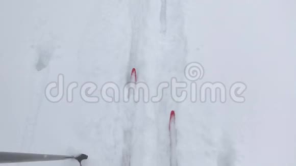 越野滑雪的女人在下雪的日子徒步旅行视频的预览图