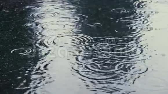 涟漪中的雨滴在缓慢的运动中视频的预览图