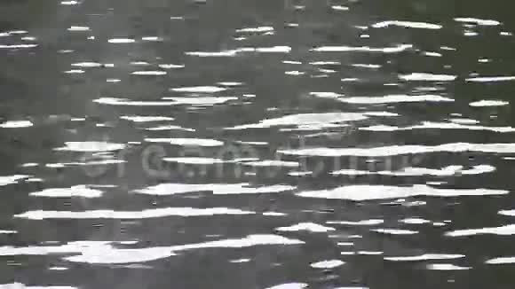 水反射光线视频的预览图